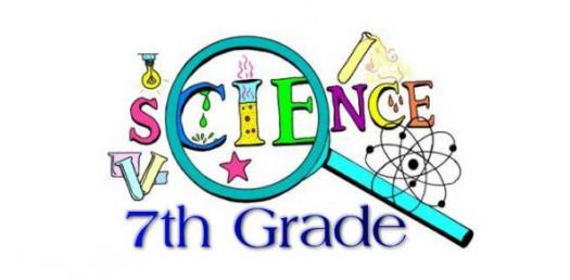 7th Grade
